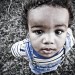 img_0762-proc2 img_0762-proc2