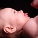 img_5968 img_5968