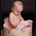 img_9224 img_9224