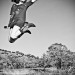 IMG_9306-bw