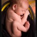 IMG_6300 IMG_6300