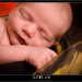 IMG_6334 IMG_6334